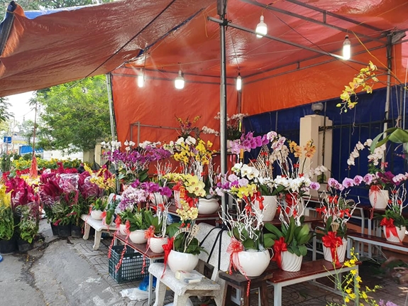 Nếu các loài hoa khác có thể để ngoài trời thì những người kinh doanh lan hồ điệp phải che chắn, giữ ẩm cho hoa khá kỳ công.